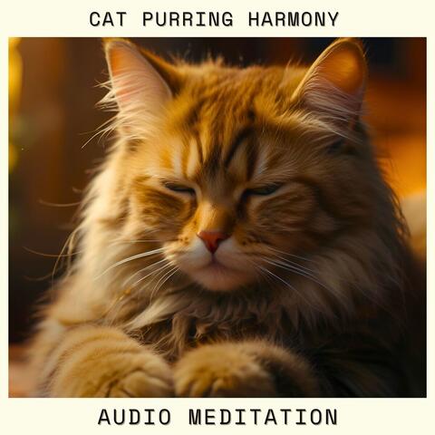 Cat Purring Harmony