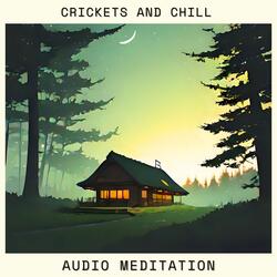 Crickets and Chill (Chill Lofi Melodies for Nighttime Bliss)