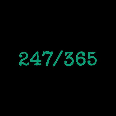247 / 365