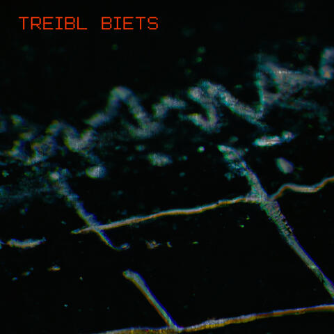 Treibl Biets