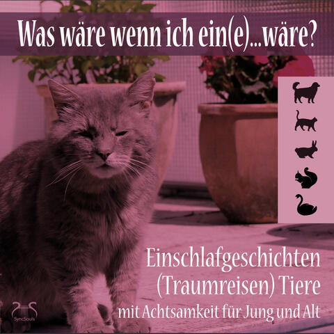 Was wäre wenn ich ein(e)...wäre? Einschlafgeschichten (Traumreisen) Tiere mit Achtsamkeit für Jung und Alt