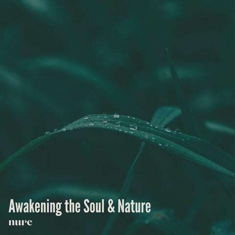Awakening the Soul & Nature