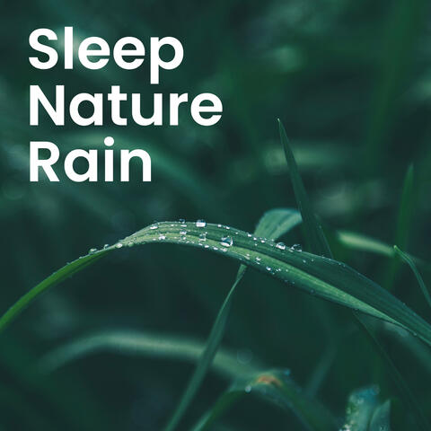 Nature's Healing Touch: Soothing Sounds for Sleep & Relaxation