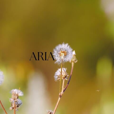 Aria