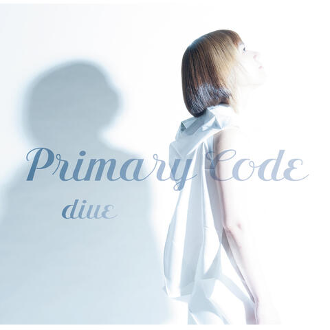 Primary Code