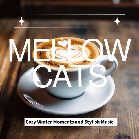 Cozy Winter Moments and Stylish Music