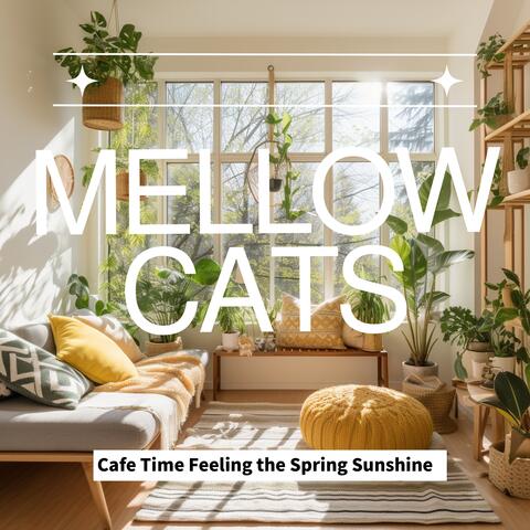 Cafe Time Feeling the Spring Sunshine