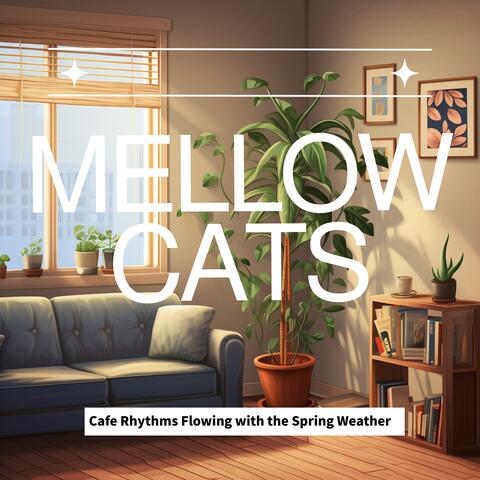 Cafe Rhythms Flowing with the Spring Weather