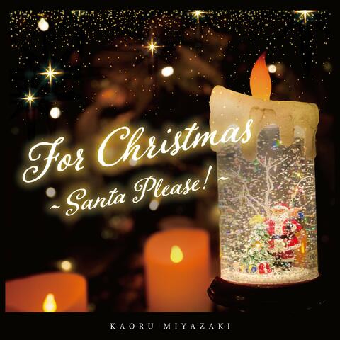 For Christmas ~Santa Please!~