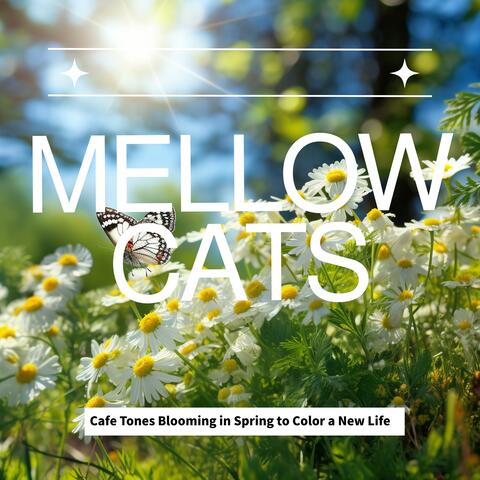 Cafe Tones Blooming in Spring to Color a New Life