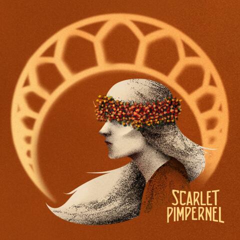 Scarlet Pimpernel