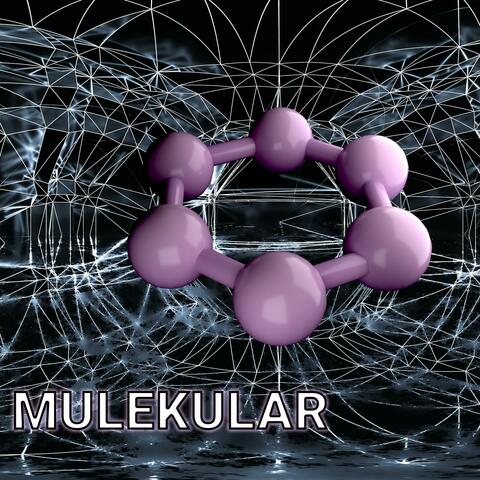MULEKULAR