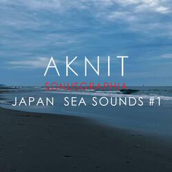SONUSGRAPHIA / JAPAN SEA SOUNDS  #1(豊橋伊古部海岸の音)