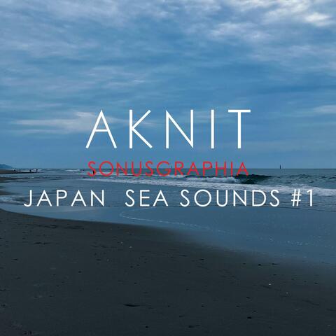 SONUSGRAPHIA / JAPAN SEA SOUNDS  #1(豊橋伊古部海岸の音)