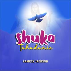 Shuka Tuhudumie