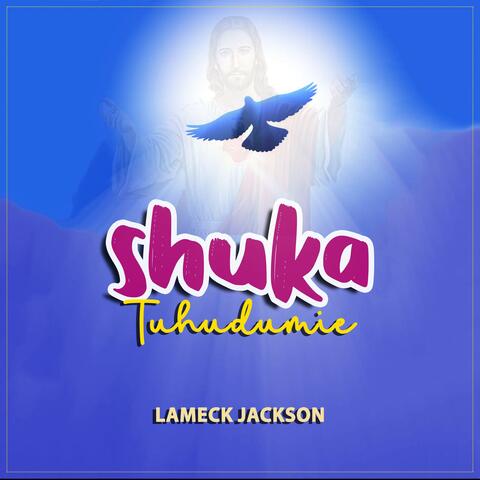 Shuka Tuhudumie