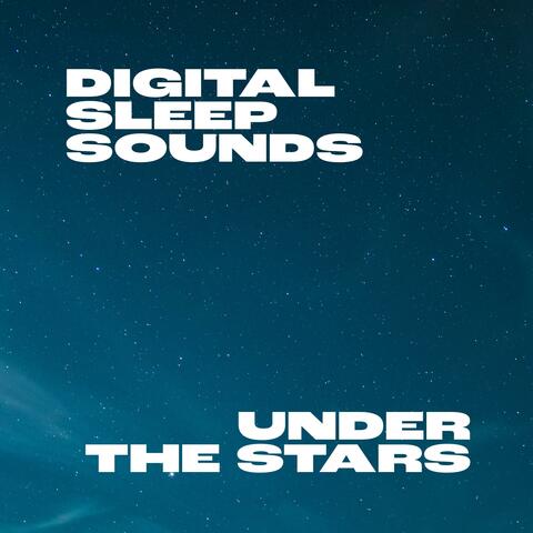 A Night Under the Stars