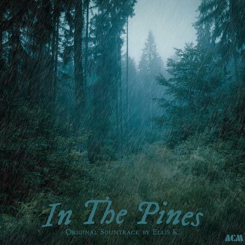 In The Pines (Soundtrack from the Motion Picture)