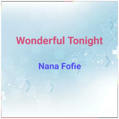Wonderful Tonight