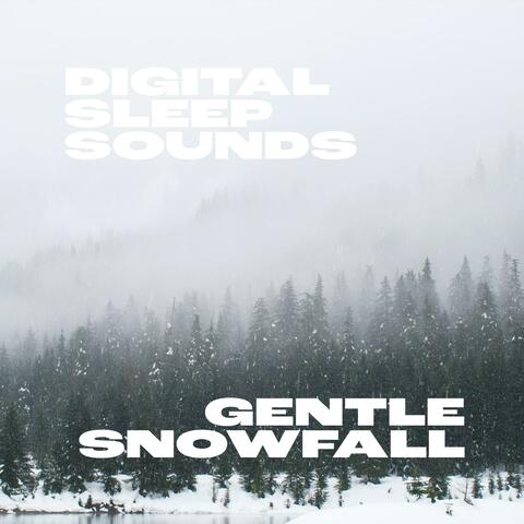 Gentle Snowfall