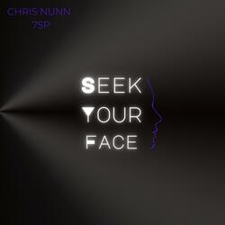 Seek Your Face
