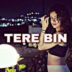 Tere Bin