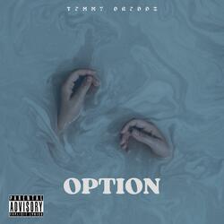 OPTION SPEED UP