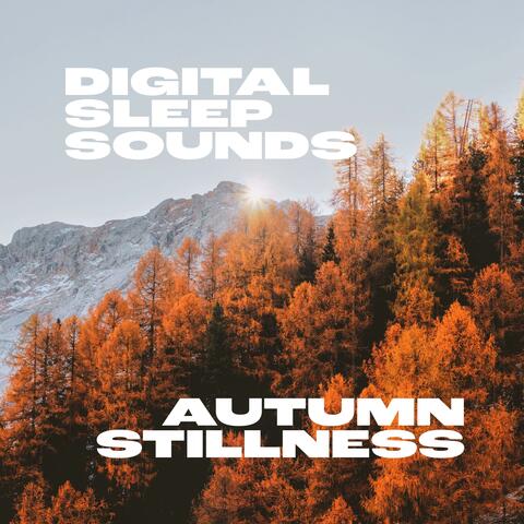 Autumn Stillness