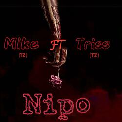 Nipo (feat. Triss (TZ))