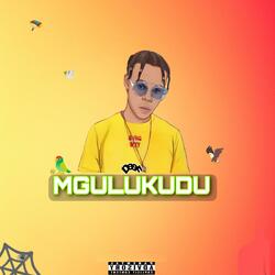 MGULUKUDU