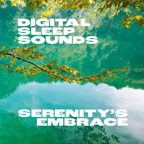 Serenity's Embrace