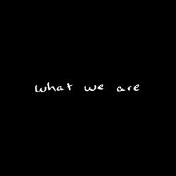 What We Are