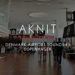 SONUSGRAPHIA / DENMARK AIRPORT SOUNDS #1(COPENHAGEN)