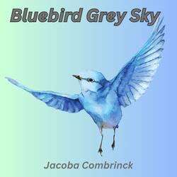 Bluebird Grey Sky