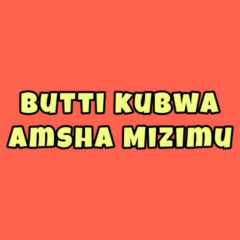 Amsha Mizimu
