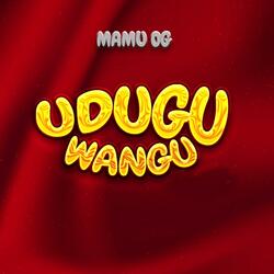 Udugu wangu