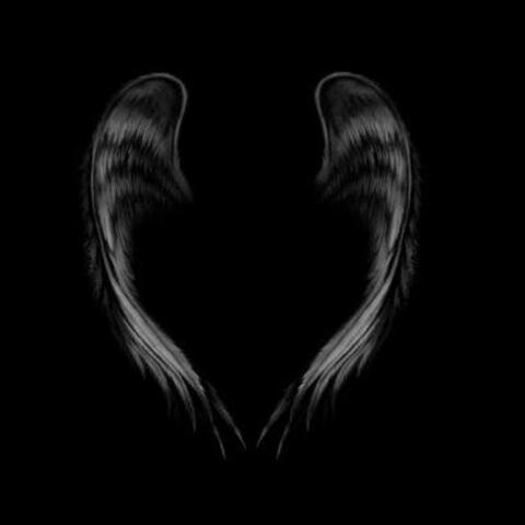 Angel Numbers