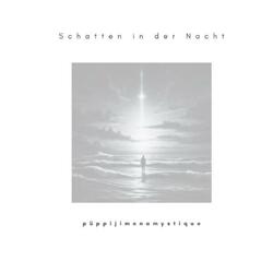 Schatten in der Nacht