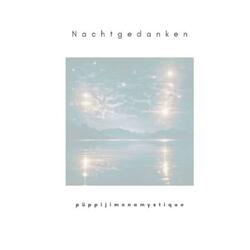 Nachtgedanken