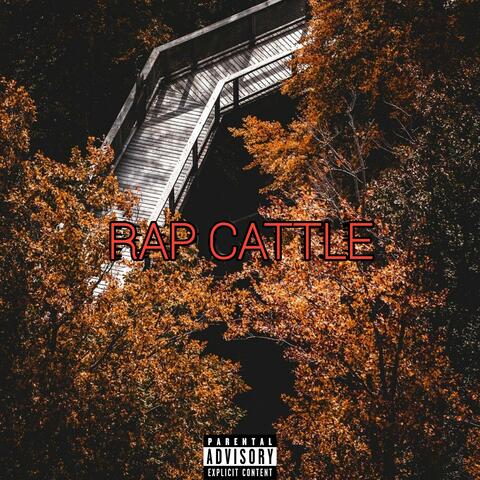 RAP CATTLE
