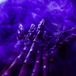 Asparagus (Slow) (feat. Rick Ross)