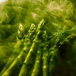 Asparagus (Sped Up + Reverb) (feat. Rick Ross)