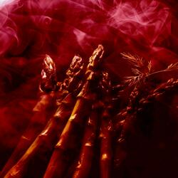 Asparagus (Fast) (feat. Rick Ross)