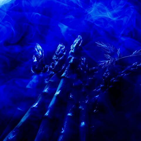 Asparagus (Slowed + Reverb) (feat. Rick Ross)