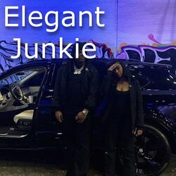 Elegant Junkie