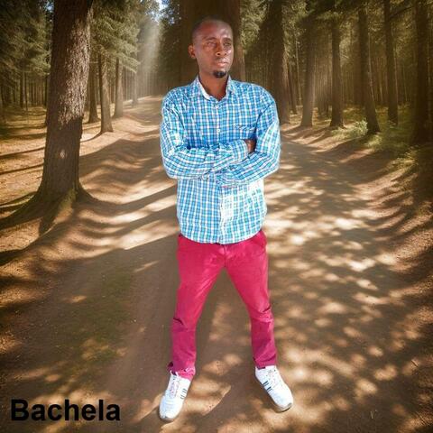 Bachela