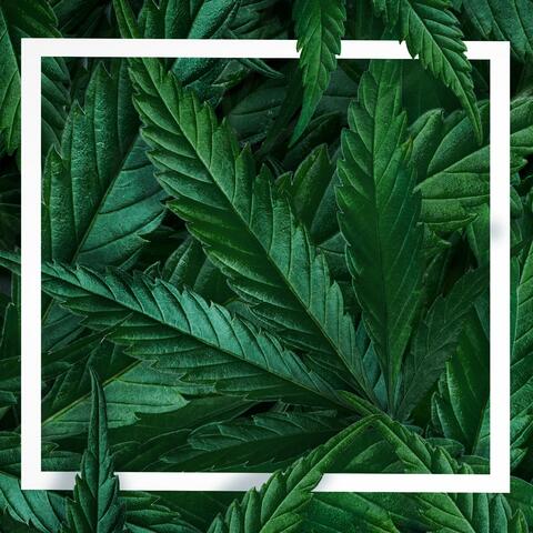 Gang Green (feat. Royce Da 5’9”)