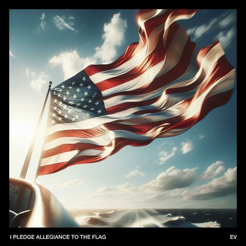 I Pledge Allegiance To The Flag