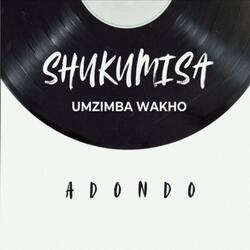 Shukumisa (Umzimba Wakho)
