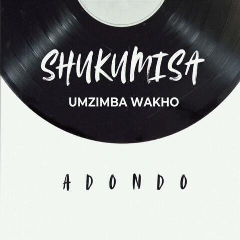 Shukumisa (Umzimba Wakho)